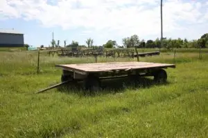 13_IMGL0955