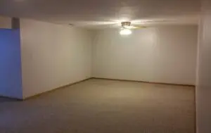 basement1_402flameway-1170x738