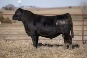 k258-720x480